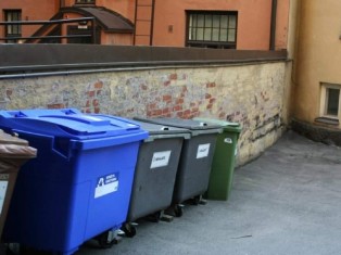 В Подмосковье в мусорном контейнере обнаружены тела пяти новорожденных детей