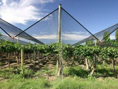 Հայաստանում կարտադրեն հակակարկտային ցանցեր