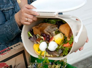 В Британии ежегодно семьи выбрасывают продукты на сумму в $1100
