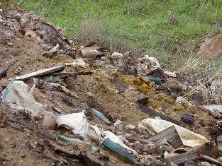 Нидерландская компания представила сценарии восстановления Нубарашенского могиль