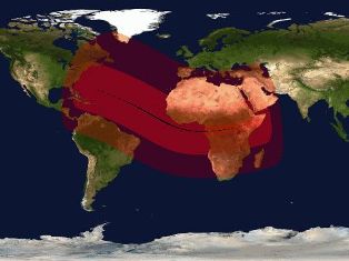 3 ноября будет наблюдаться редкое небесное явление – гибридное затмение Солнца