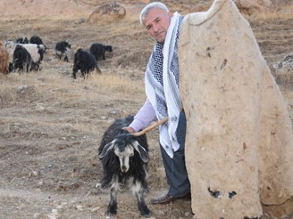 Թուրքիայում հովիվը թողել է իր գործը եւ մտել քաղաքականություն