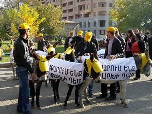 Ավանակները՝ Մաշտոցի պուրակում (ֆոտո)