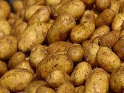 Georgian experts banned Armenian potatoes by mistake - official