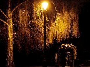 Житель Армении промышлял воровством фонарей
