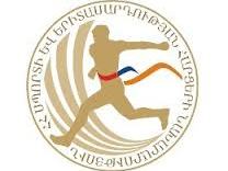 Սպորտի նախարարությունը առաջին անգամ ՀԱՕԿ-ից առանձին կպարգեւատրի մարզիկներին