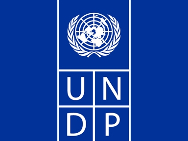 Правительство Армении выделит $22 тыс на программу UNDP по поддержке торговли