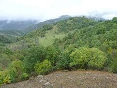 Բնության պահպանությանն ուղղված պետական ծախսերը 2013թ. կազմել են գրեթե 11 մլն դոլ