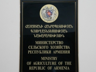 Armenian Ministry presents bill banning use of street dogs and cats in experimen