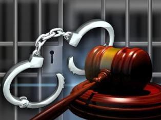 Armenia studies Georgia's experience on probation system