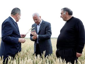 Այս տարի սպասվող բերքը բարձր է լինելու. Գյուղատնտեսության նախարար