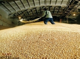 Vanadzor man dies in wheat granary