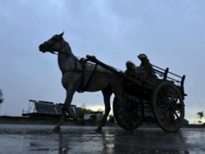 Իսպանական քաղաքը աղբատար մեքենաները փոխարինում է ձիերով