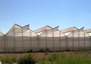 Հայաստանում ջերմոցների համար նոր սարքավորումները երեք անգամ տնտեսում են գազը