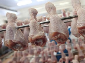 Russia to ban US poultry imports?