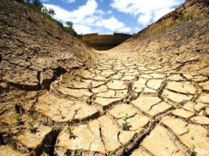 Урожайность на Земле катастрофически снизится к 2050 году