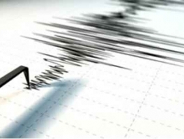 Quake hits Iran, felt in Armenia