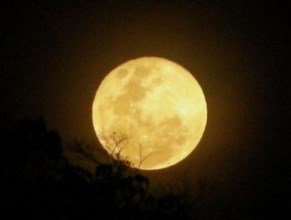 Жители Земли могут увидеть суперлуну