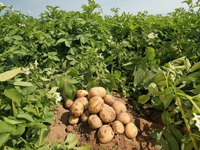 Agriculture Minister: Farmers should realize importance of consulting
