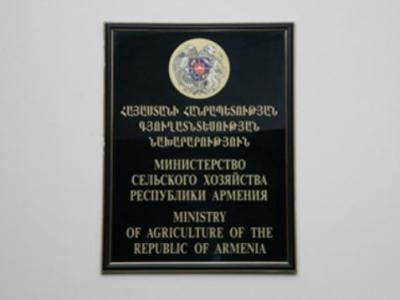 Մշակաբույսերի ցանքերն ու բազմամյա տնկարկները չեն վնասվել. Գյուղնախ