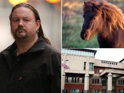 В Великобритании судят мужчину за надругательство над пони