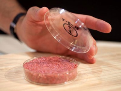 Через 10 лет искусственно выращенное мясо станет привычным продуктом - Кулинарные новости Через 10 лет искусственно выращенное мясо станет привычным продуктом - Кулинарные новости