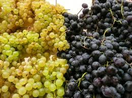 «Հրապարակ». Խաղող մթերող ընկերությունները այս տարի հրաժարվելու են մթերումներից