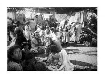 A book on Armenian Genocide studies comes out in France