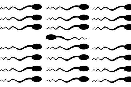 Scientists create artificial sperm