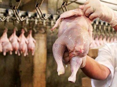 Почему Армения запретила ввоз зараженной птицы из Турции после Азербайджана?