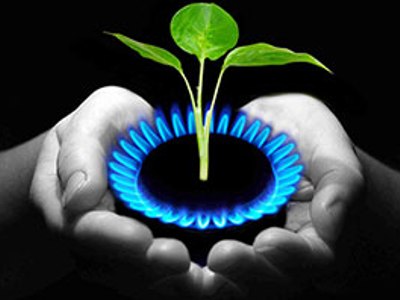 Французская Veolia хочет предложить Армении биогаз
