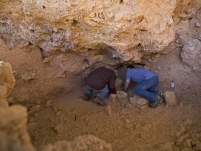 Во Франции нашли хорошо сохранившееся тело аристократки из XVII века