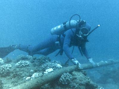 Suspicious cables found at bottom of Baltic Sea