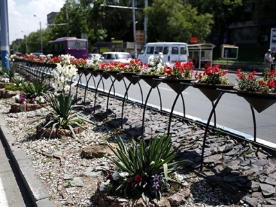 Yerevan to be decorated with 2.2 million flowers