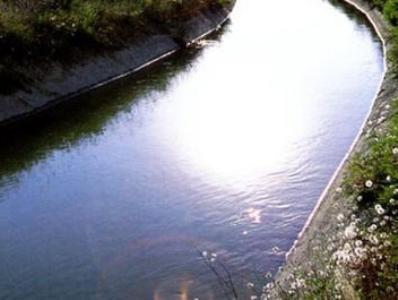 Armenia elderly woman found dead in canal