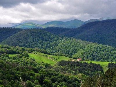 Armenia’s Dilijan city to attract investors by tax exemptions