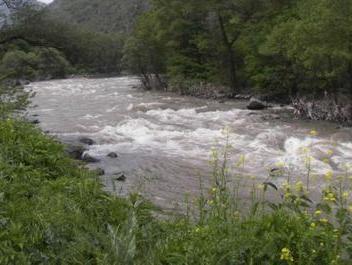 Утонувший в реке Дебед ребенок катался на листе пенопласта