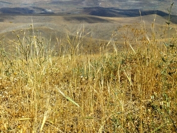 «Էրեբունի» պետական արգելոցի տարածքն ընդլայնվում է