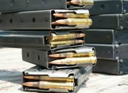 Полиция Лос-Анджелеса обнаружила в доме 1,2 тыс. единиц оружия и 2 тонны боеприпасов