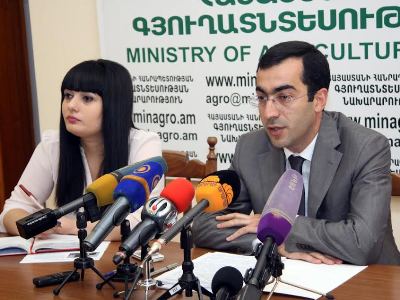 Замминистра: С фермерами уже заключили 13,3 тыс договоров о закупке винограда