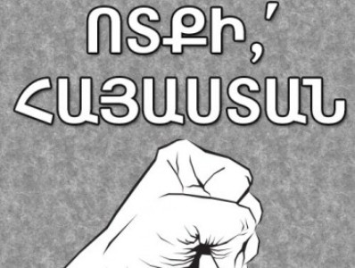 «Вставай, Армения» требует национализации элсети