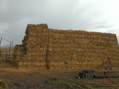 Գողացել են խոտի հակեր