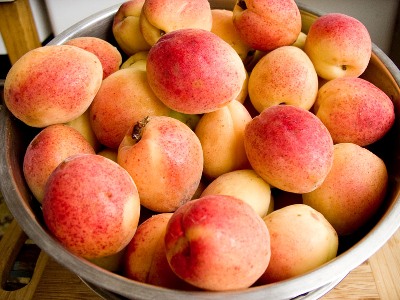 Armenian statistics on apricot bonanza leaves doubts