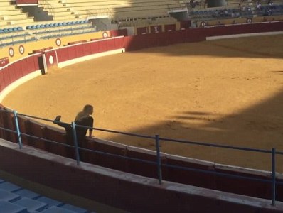 Swedish porn star tries comforting dying animal during bullfighting