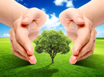 Expert: Armenia schools plan to teach environment protection courses