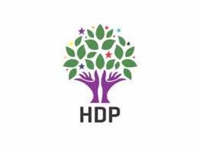 Թուրքիայի քրդական կուսակցությունը 2 քաղաքում բողոքարկել է ընտրությունների արդյունքները