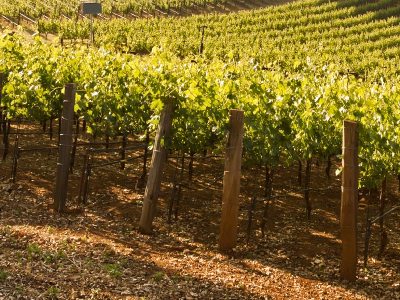 Armenia official: Agritourism will help villagers show new approaches