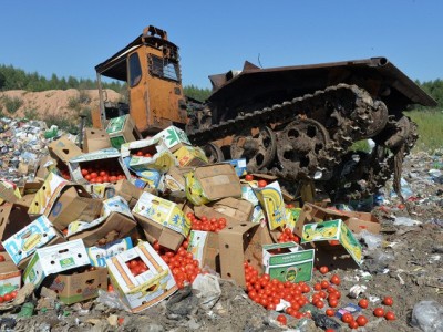 Россельхознадзор с 1 января сможет уничтожать контрабандную продукцию из Турции