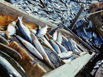 Жалобы армянских рыбоводов на дорогую воду – и факты из Европы