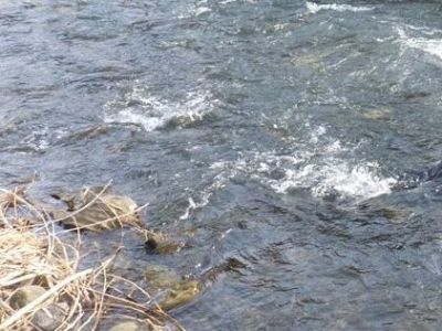 Newborn found dead in Armenia river